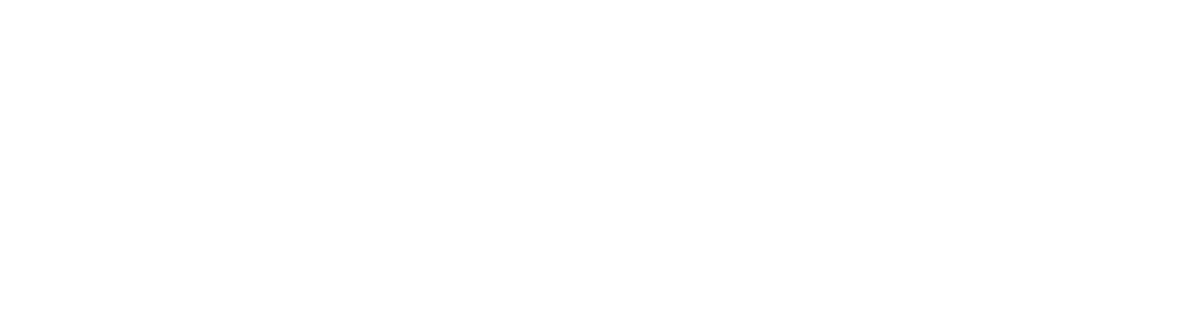 Nelson Veterinary Services